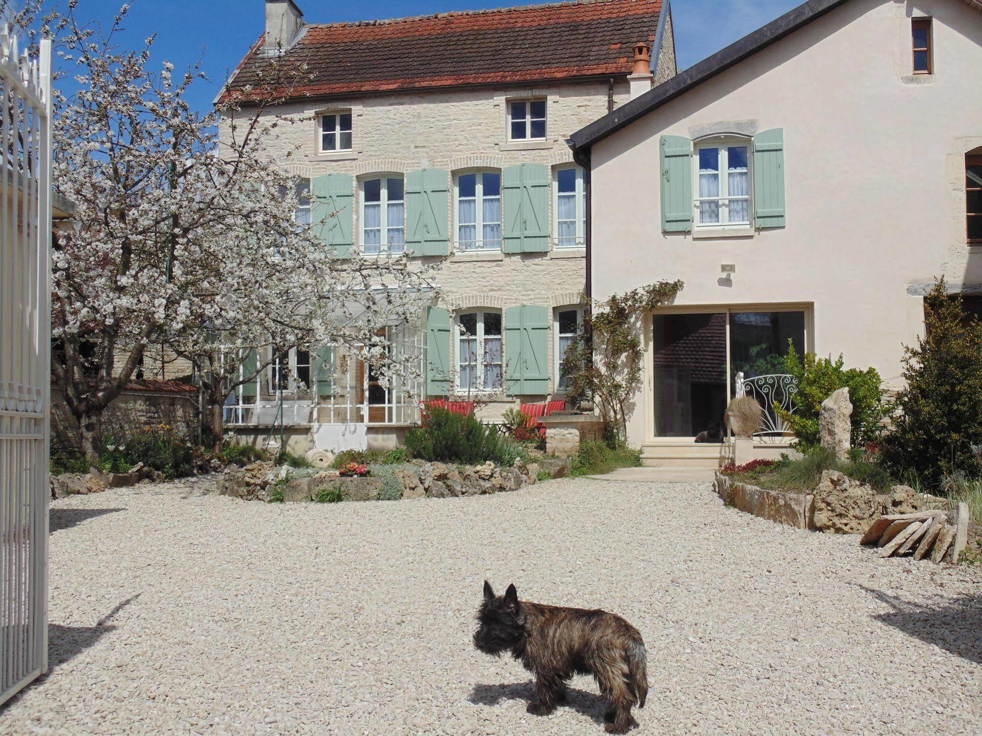 La Promenade En Champagne Bed & Breakfast Mussy-sur-Seine Exterior foto